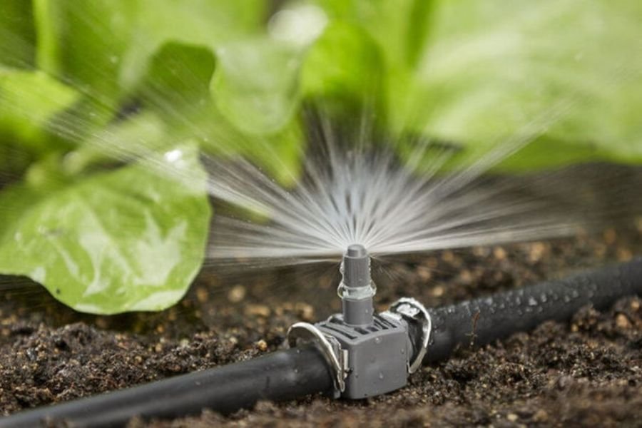 Irrigation System In Cheyenne, WY